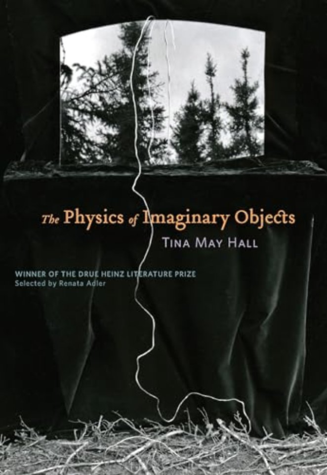 The Physics of Imaginary Objects