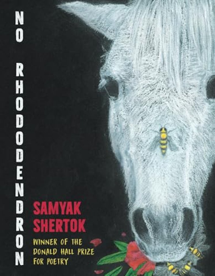 No Rhododendron – Poems