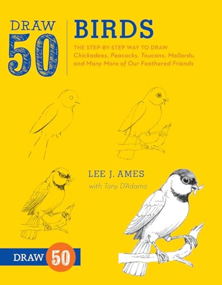 Draw 50 Birds