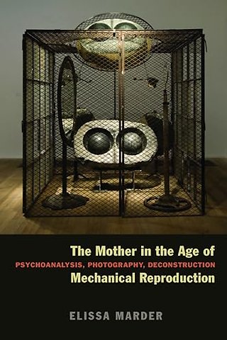 The Mother in the Age of Mechanical Reproduction – Psychoanalysis, Photography, Deconstruction