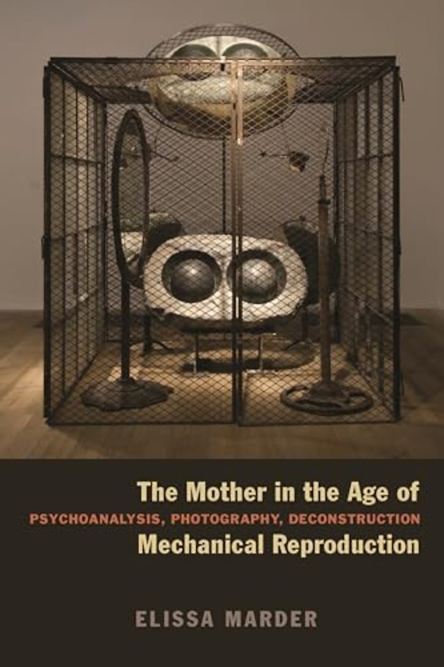 The Mother in the Age of Mechanical Reproduction – Psychoanalysis, Photography, Deconstruction