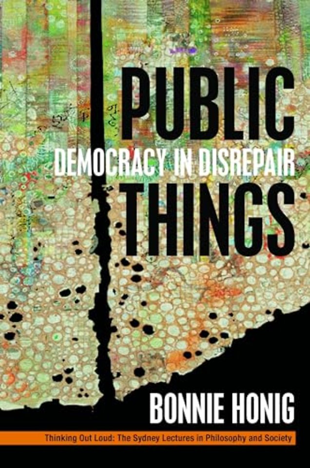 Public Things – Democracy in Disrepair