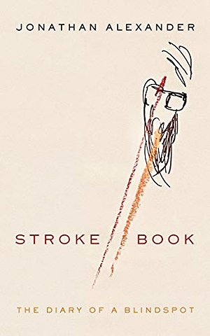 Stroke Book – The Diary of a Blindspot