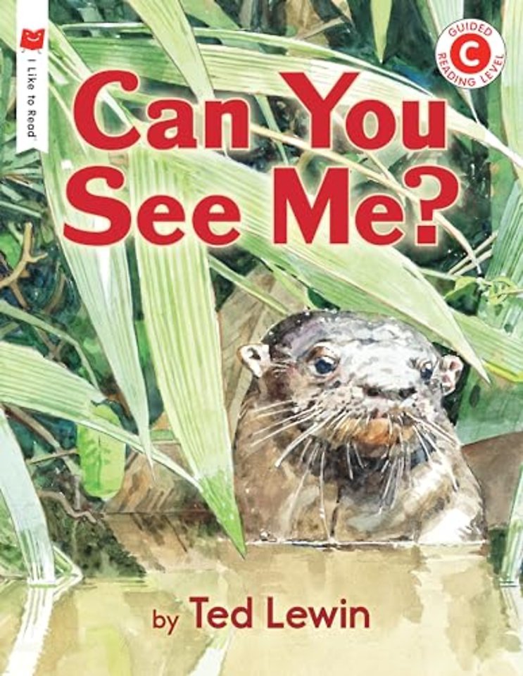 Can You See Me?