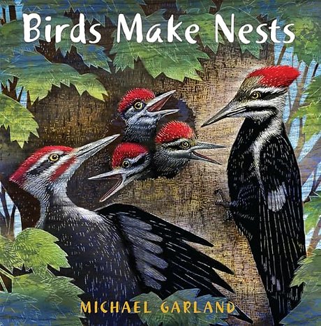 Birds Make Nests
