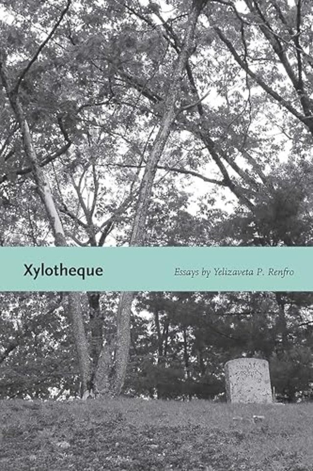 Xylotheque – Essays