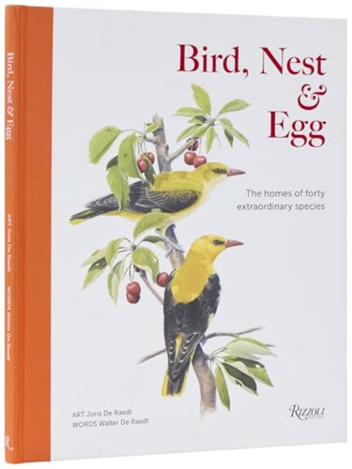 Bird, Nest & Egg