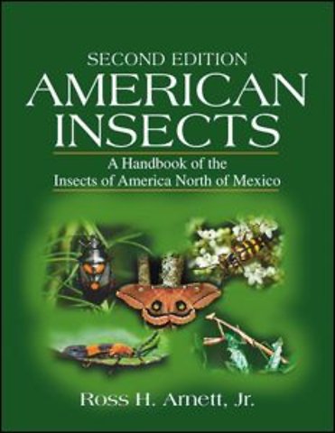 American Insects