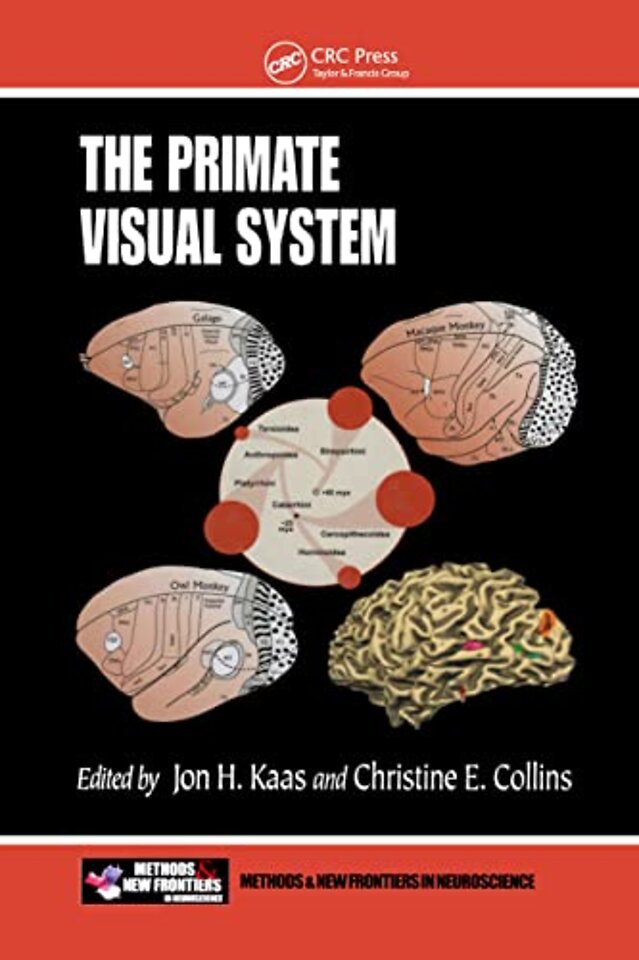 Primate Visual System