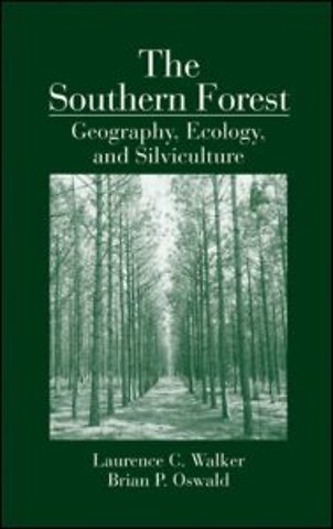 Southern Forest