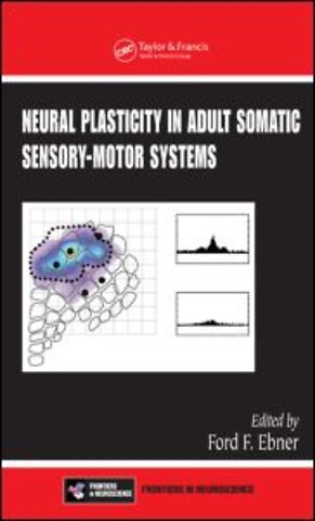 Neural Plasticity in Adult Somatic Sensory-Motor Systems
