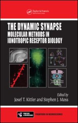 Dynamic Synapse