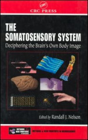 Somatosensory System