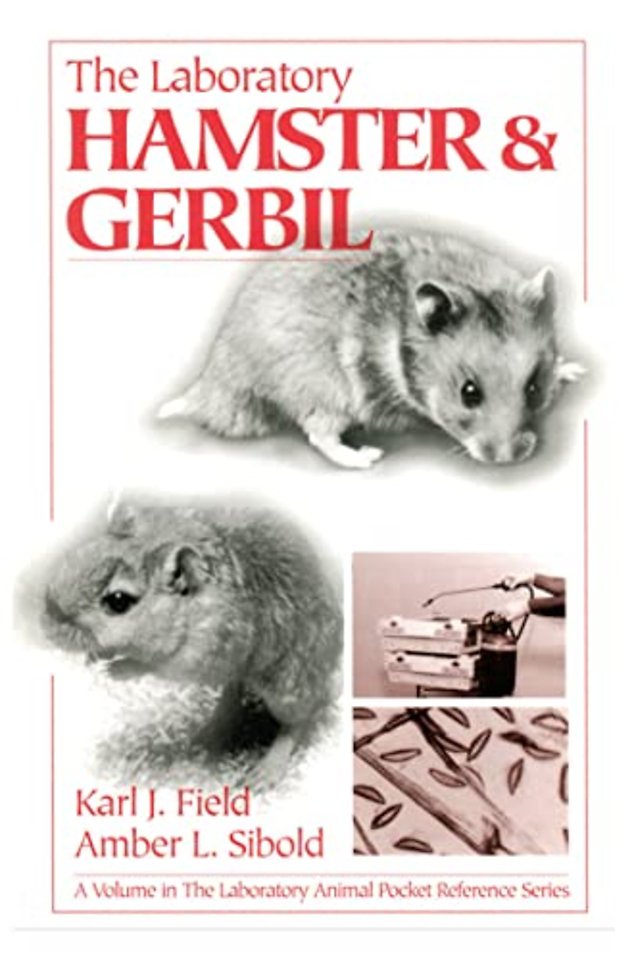 LaboratoryHamster and Gerbil