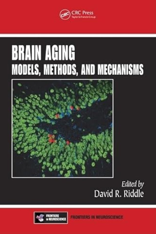 Brain Aging