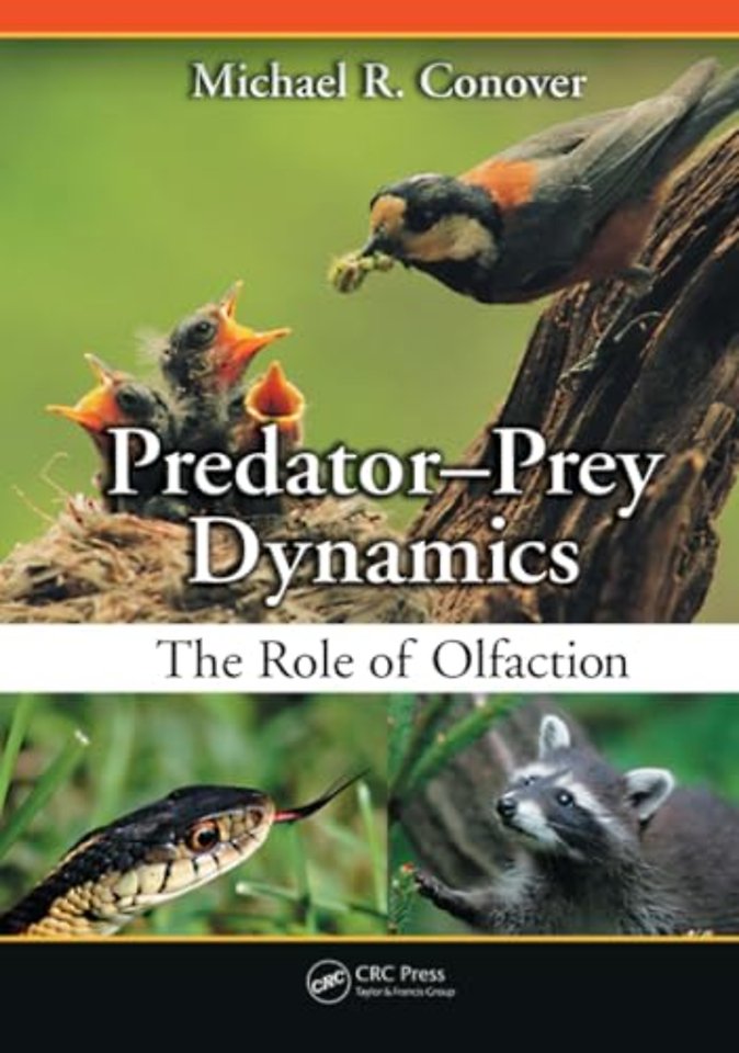 Predator-Prey Dynamics