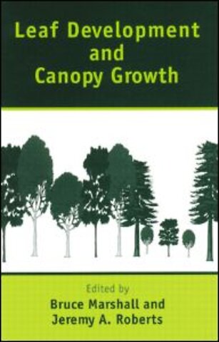 Leaf Development and Canopy Growth