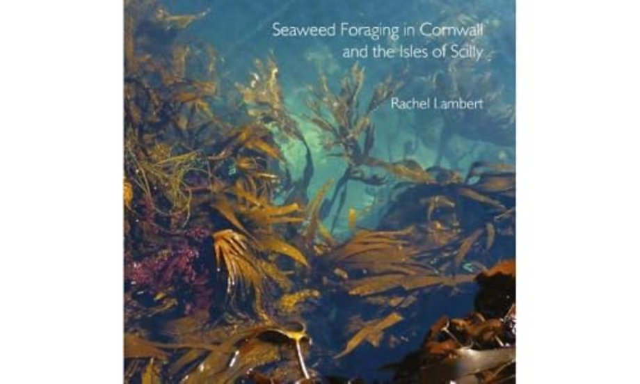 Seaweed Foraging in Cornwall and the Isles of Scilly