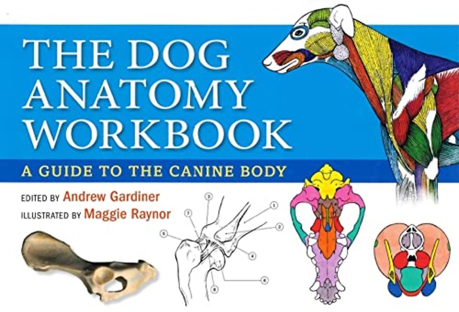 Dog Anatomy Workbook