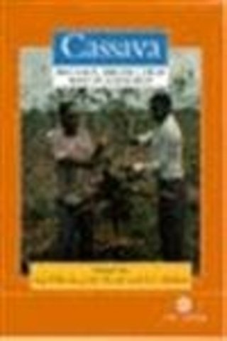 Cassava