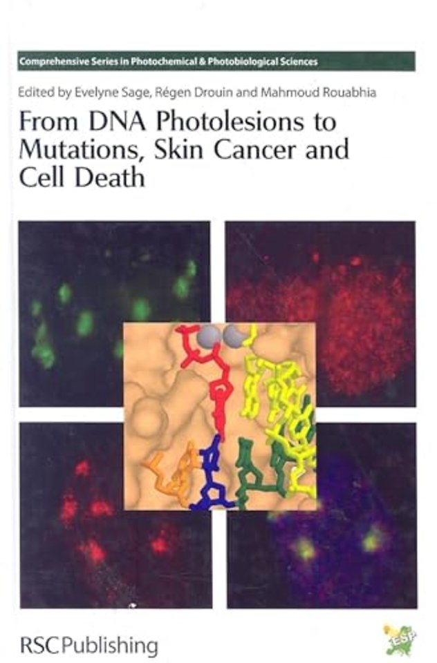 From DNA Photolesions to Mutations, Skin Cancer and Cell Death
