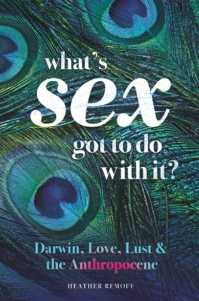 What's Sex Got To Do With It?