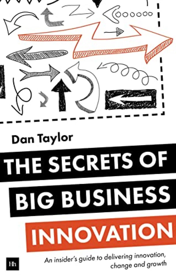 The Secrets of Big Business Innovation