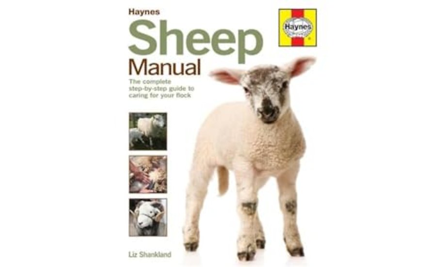 Sheep Manual