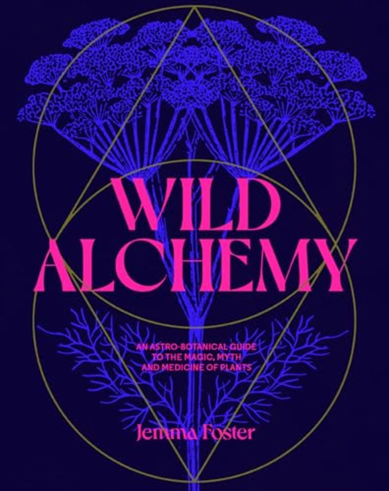 Foster, J: Wild Alchemy