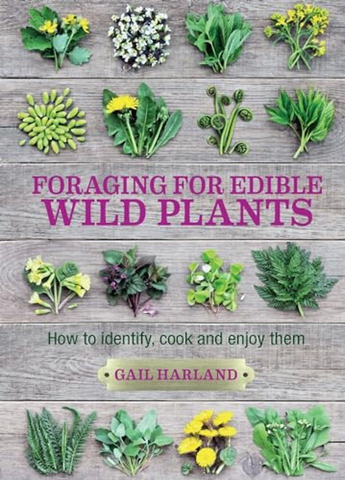 Foraging for Edible Wild Plants