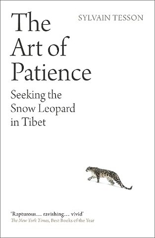 The Art of Patience