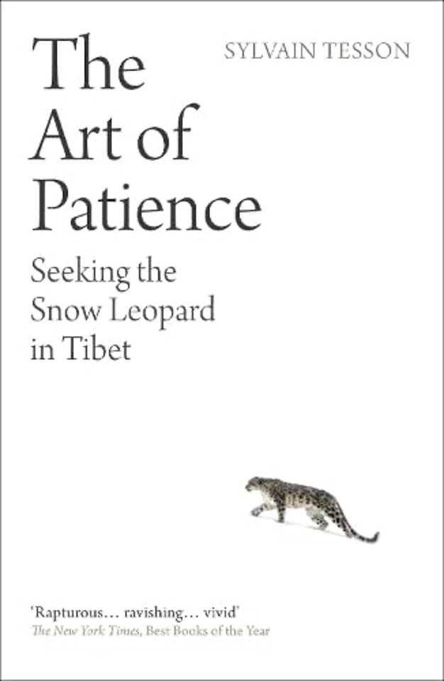 The Art of Patience
