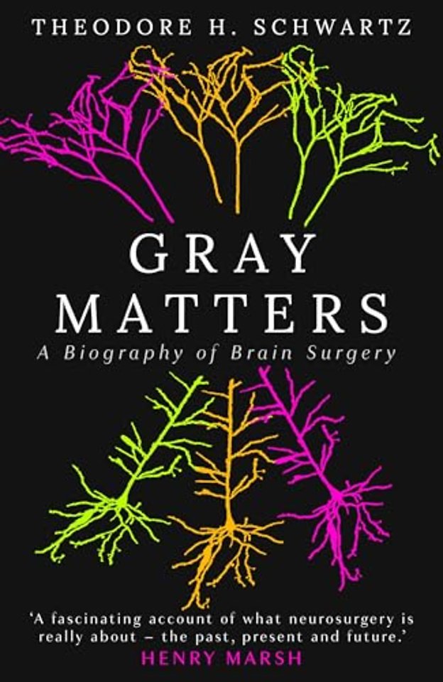 Gray Matters
