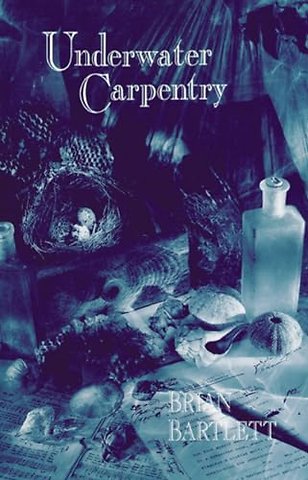 Underwater Carpentry