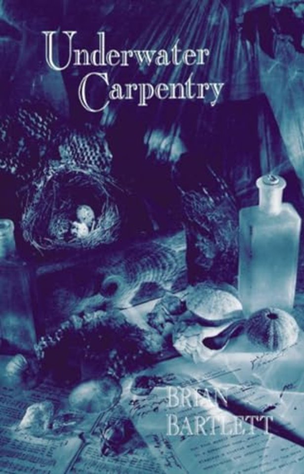 Underwater Carpentry