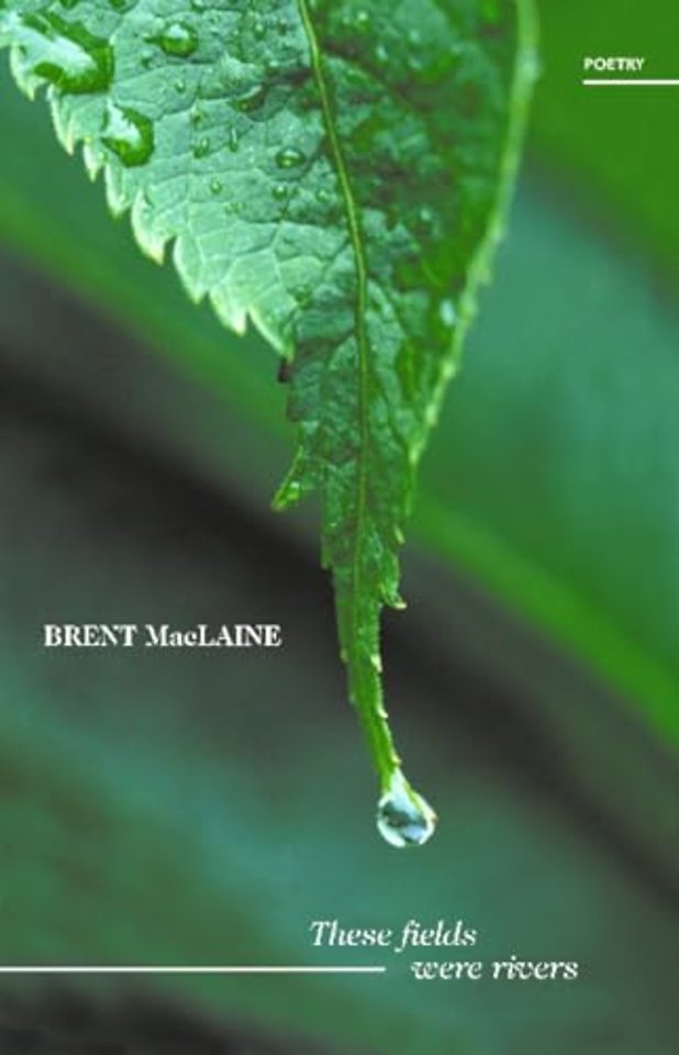 These Fields Were Rivers