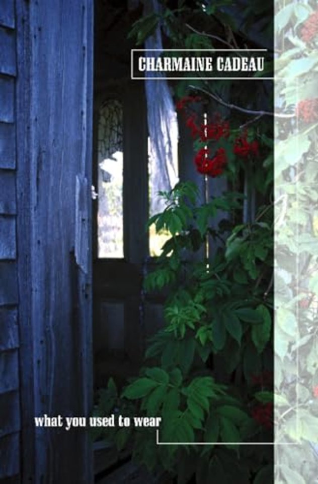 What You Used to Wear