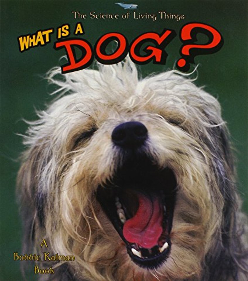 What Is a Dog