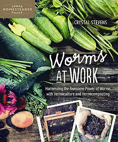 Worms at Work