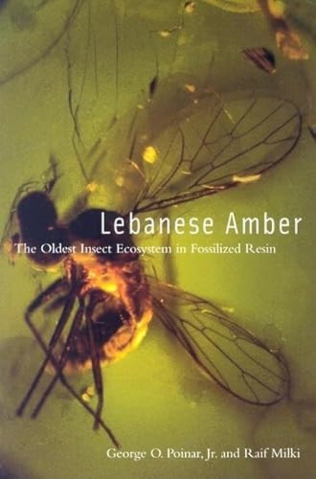 Lebanese Amber – The Oldest Insect Ecosystem in Fossilized Resin
