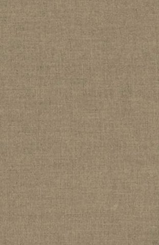 Spinoza: The Letters