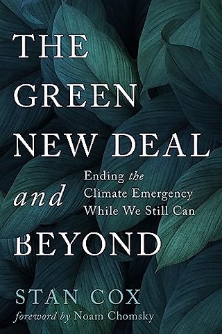 The Green New Deal and Beyond