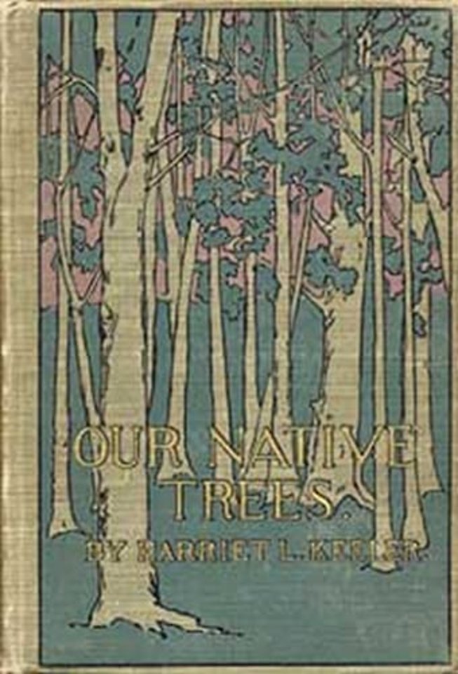 Our Native Trees and How to Identify Them – A Popular Study of Their Habits and Peculiarities