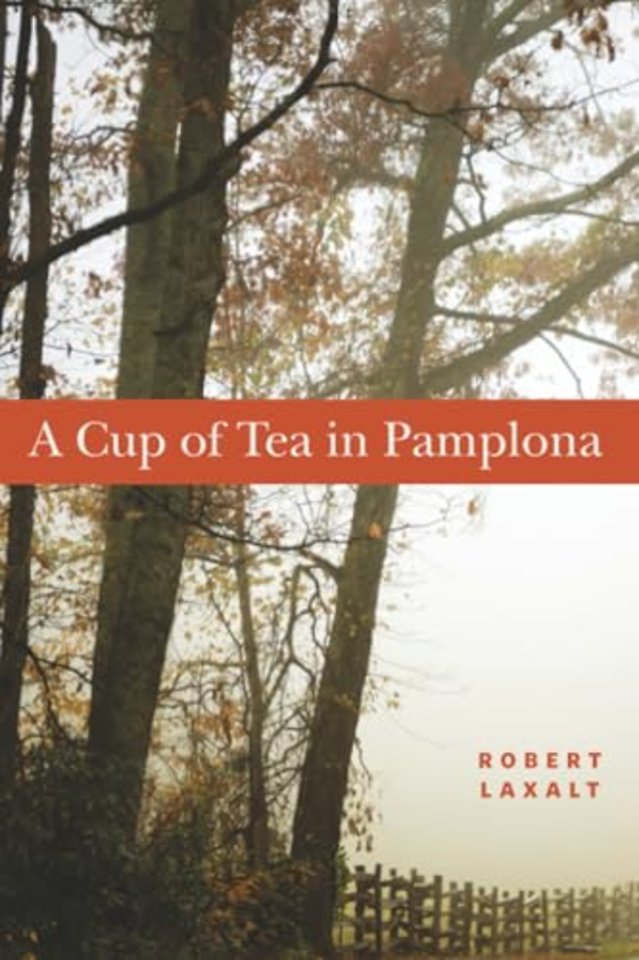 A Cup of Tea in Pamplona