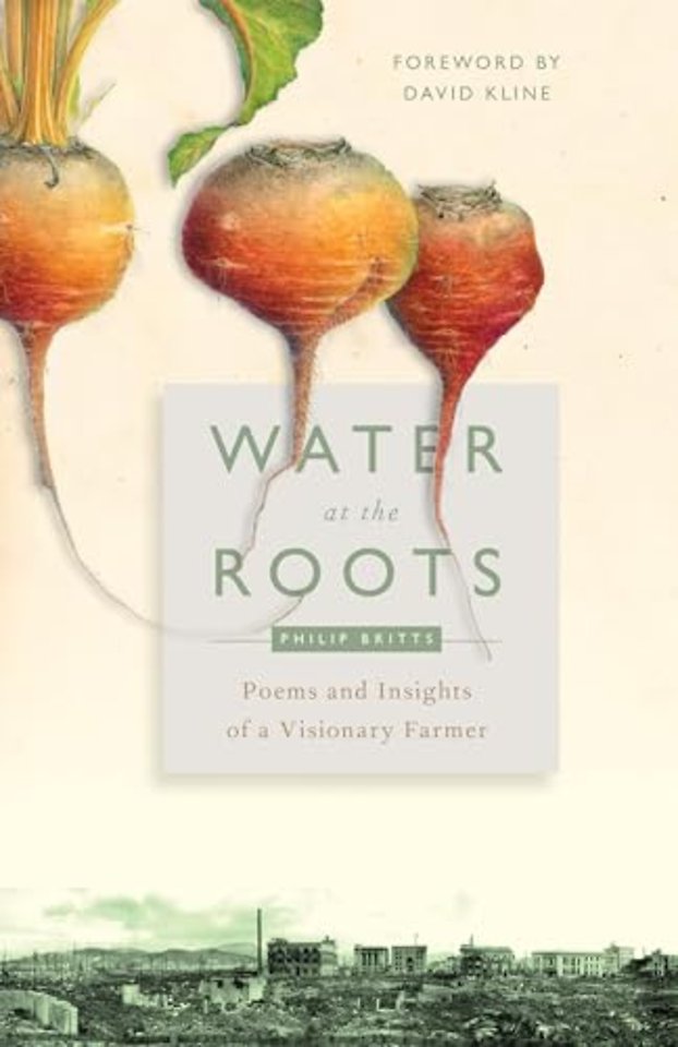 Water at the Roots