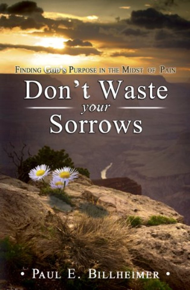 Don't Waste Your Sorrows