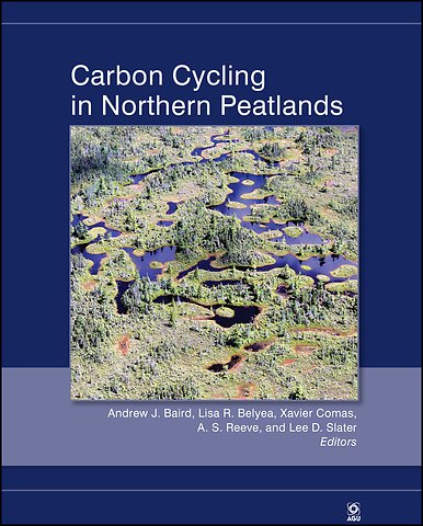 Carbon Cycling in Northern Peatlands