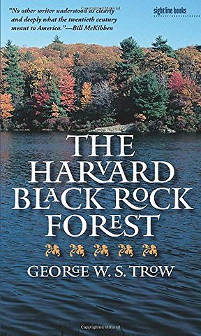 The Harvard Black Rock Forest