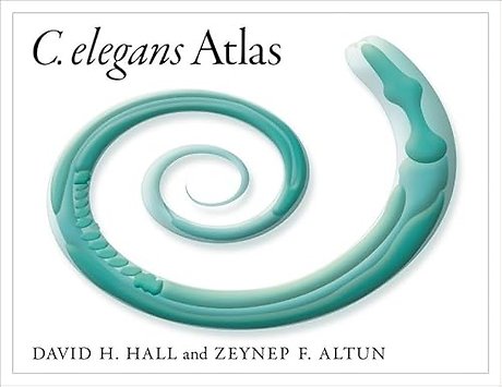 C. Elegans Atlas
