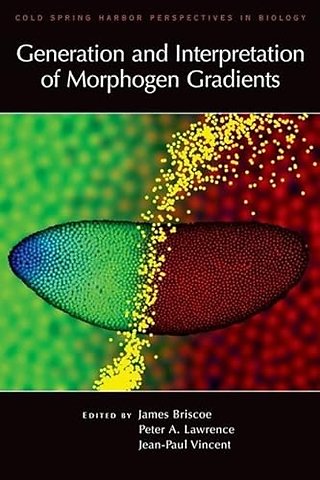 Generation and Interpretation of Morphogen Gradients